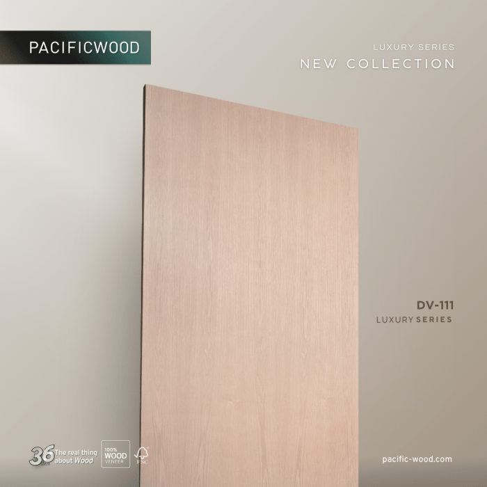 PCF-DV111-02-3.png